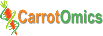 CarrotOmics Main Logo